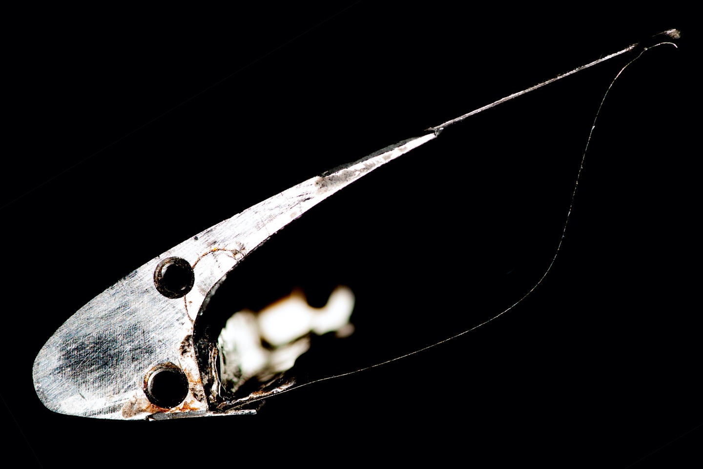 The S shape of the membrane (right) can clearly be seen in this photo