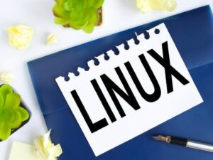 Linux 101: How to understand the Linux directory structure