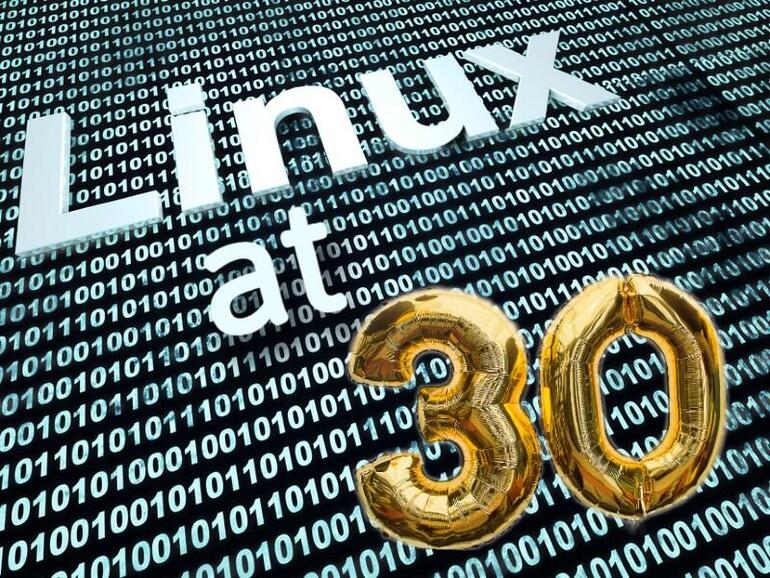 Linux at 30