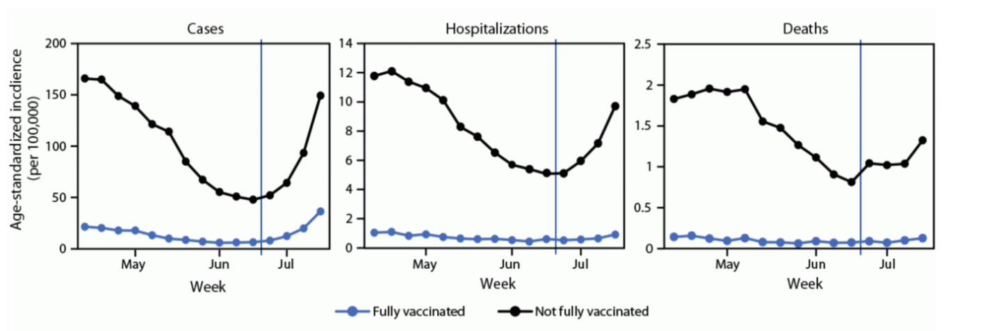 Although Delta accounts for more infections in vaccinated people, the rise in hospitalizations and deaths are primarily in those unvaccinated