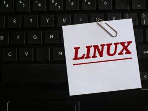 Try this Linux web browser dedicated solely to web applications