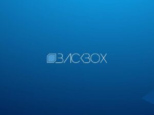 How to install BackBox Linux distribution as a virtual machine