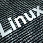 Read more about the article Linux users: These text-based file managers are overlooked gems