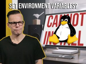 What are environment variables in Linux?