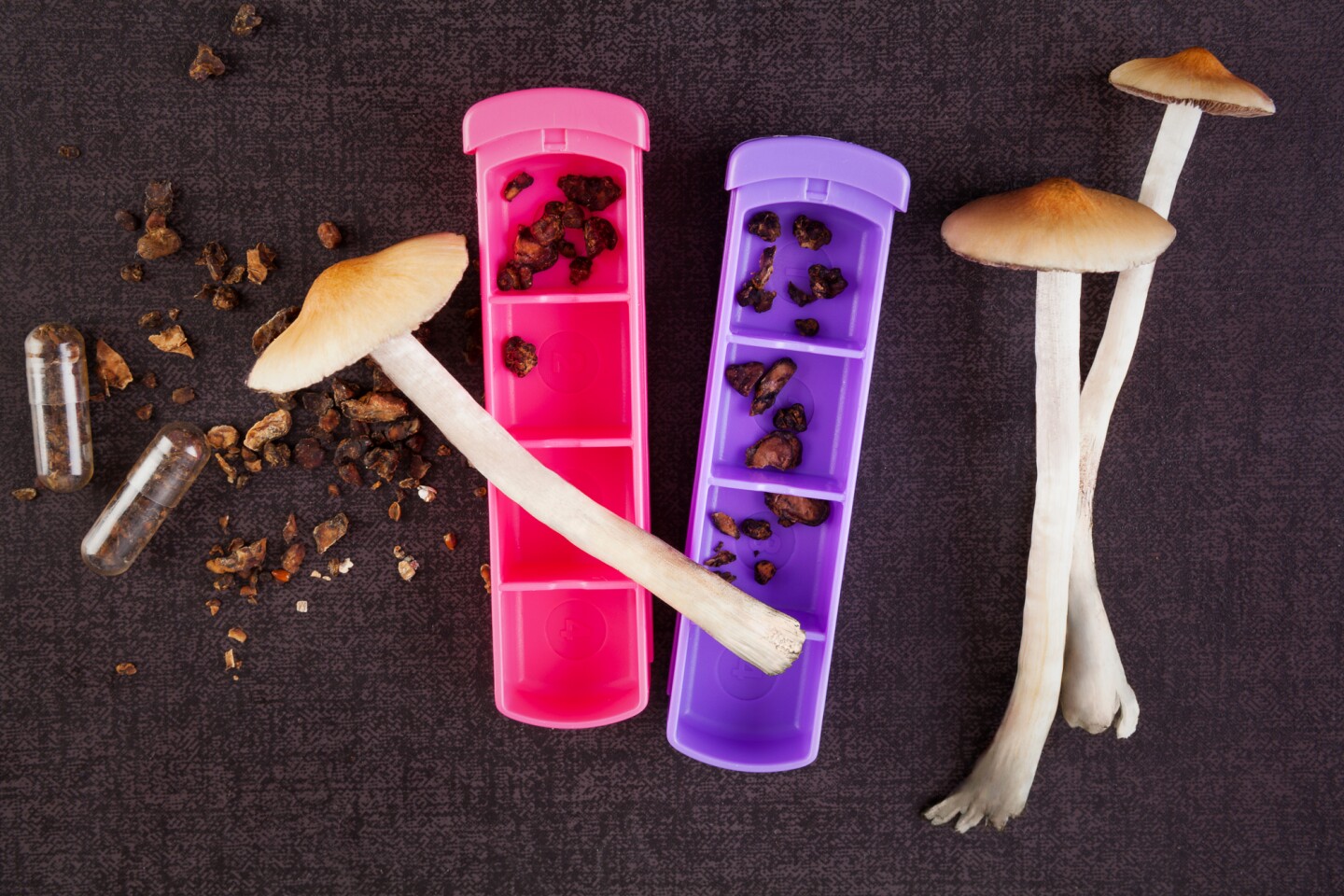 For the first time, a trial has directly compared the efficacy of psychedelic psilocybin psychotherapy for depression against a common antidepressant medication