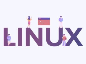 Is Maui Shell the future of the Linux desktop?