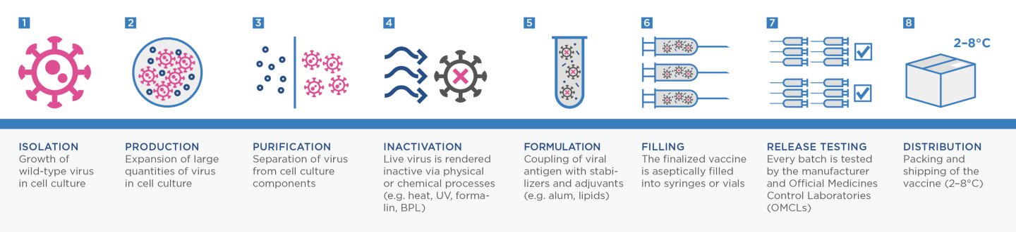 The manufacturing process for Valneva's whole-virus vaccine