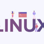 Read more about the article Choosing your next Linux distribution: “just works” or community?