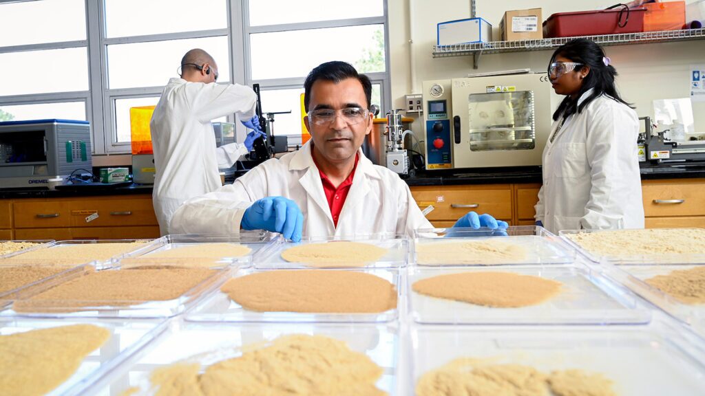 Lokendra Pal works with samples of the material in his lab