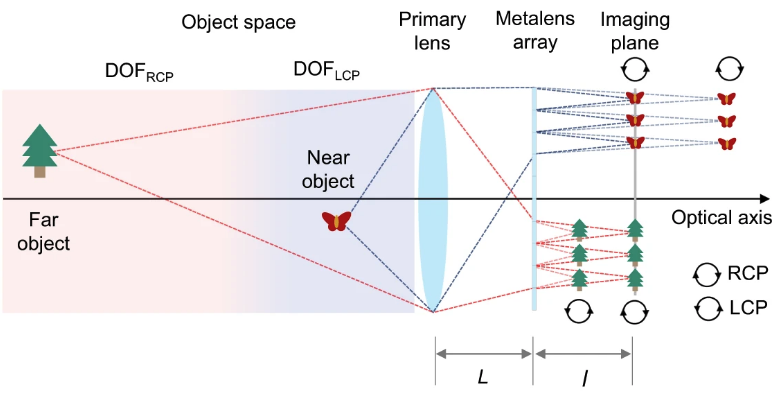 Two focal lengths determined by circular polarization, and two more determined by metalens shaping, are matched up such that the near and far focal points can converge at the same imaging plane