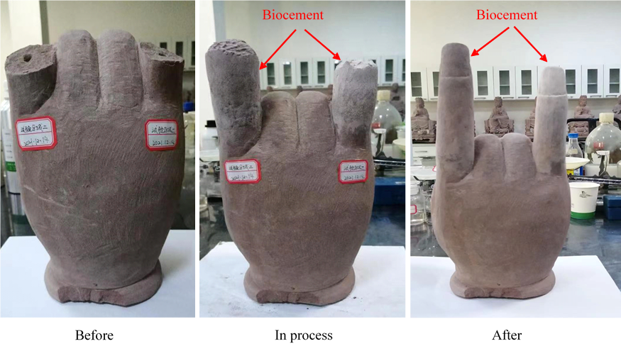 An ancient Buddha hand statue, before and after being repaired with the biocement