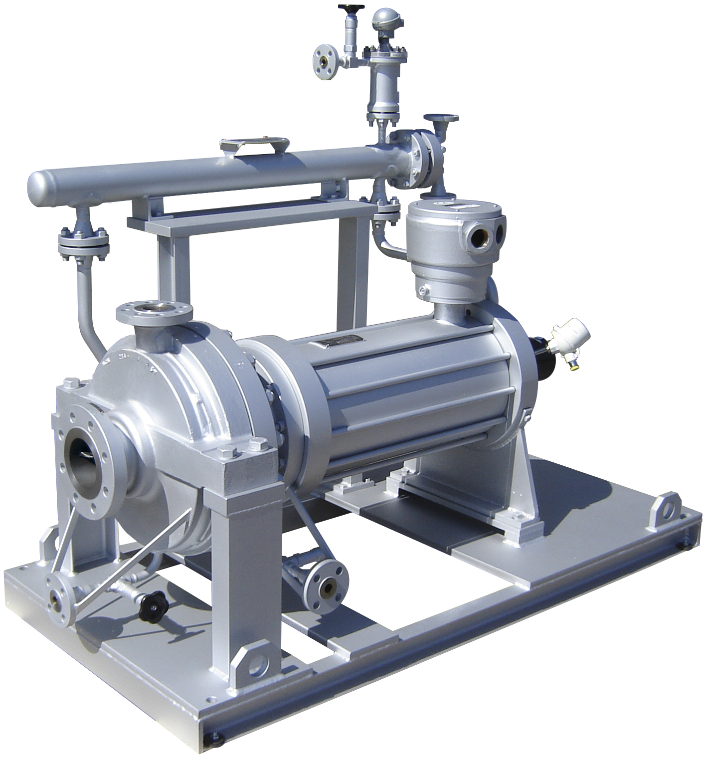 Hermetic Canned Motor Pumps For High-Temperature Applications in the Chemical Industry