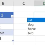 Read more about the article How to create a drop-down list in Excel