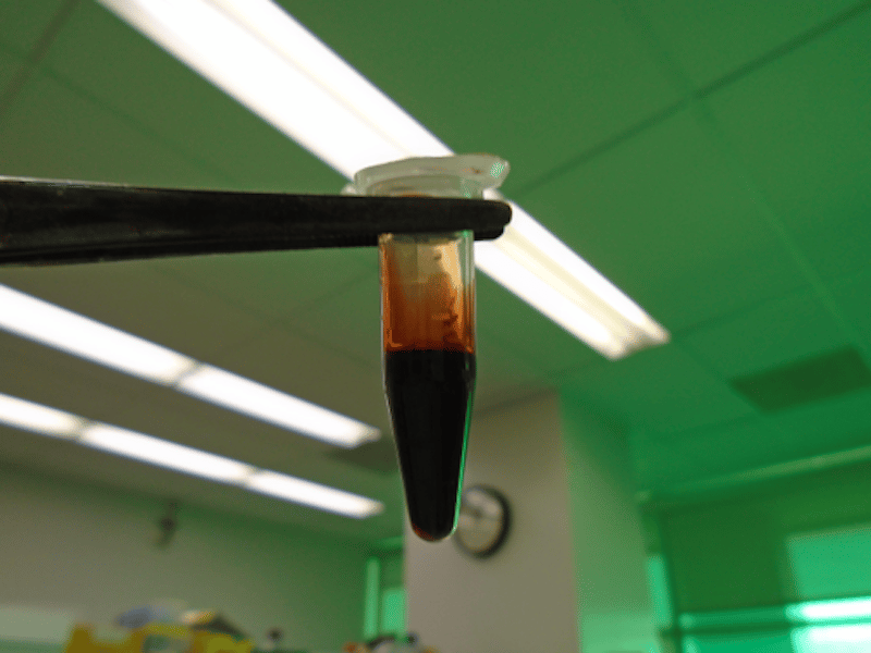 An extract of a raw cyclopropane material produced by Streptomyces bacteria