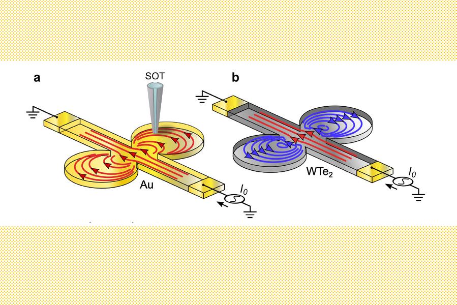 A diagram showing how electrons flow in a standard metal (gold) on the left, and how they create electron whirlpools in a quantum material (tungsten ditelluride), right