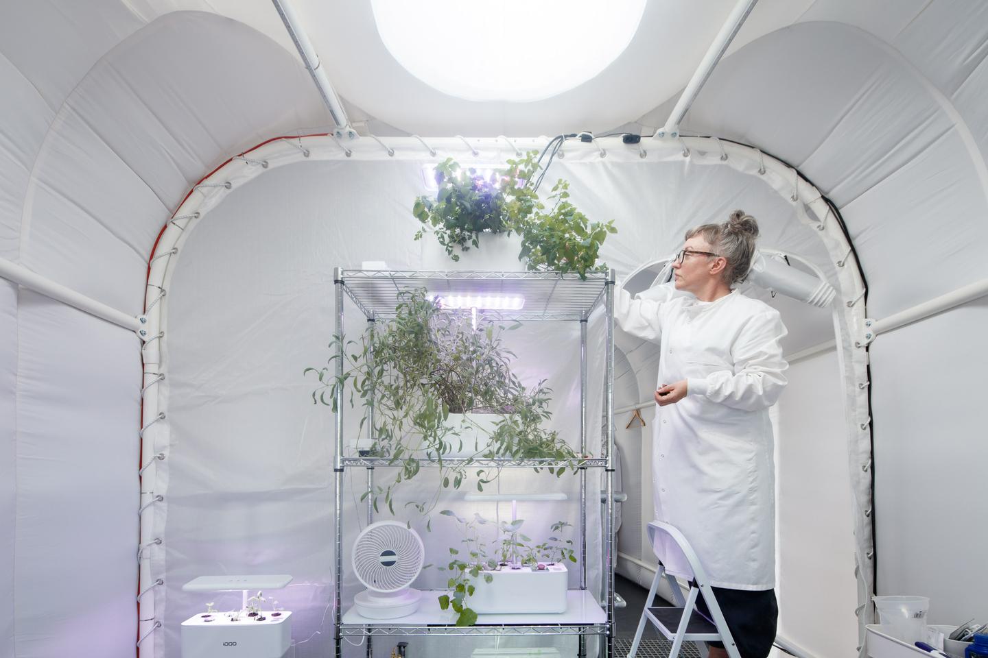 The Martian House's interior includes a hydroponic farm/living room