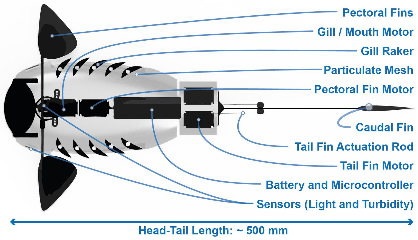 A diagram of the Robo-fish prototype's various components