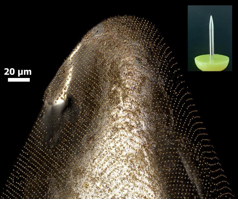 A grid of magnetic microdiscs, applied to the point of a pushpin