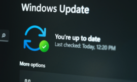 Patch Tuesday, November 2022 Election Edition