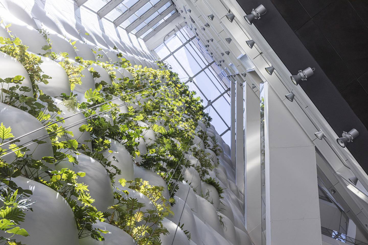 The Telus Sky Tower features a large interior green wall