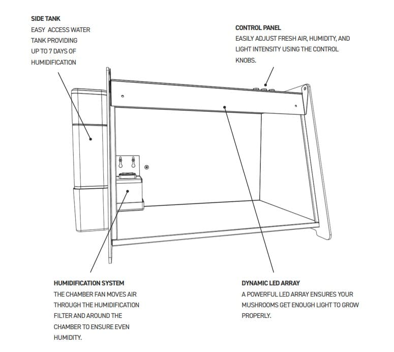 Mella Diagram