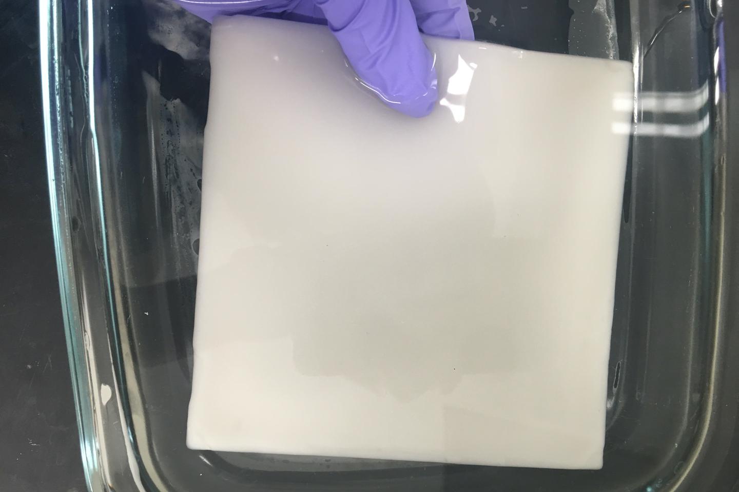 The loofah hydrogel could be used to purify water in impoverished regions, or at disaster sites