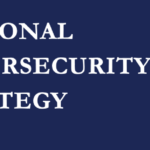 Read more about the article Highlights from the New U.S. Cybersecurity Strategy