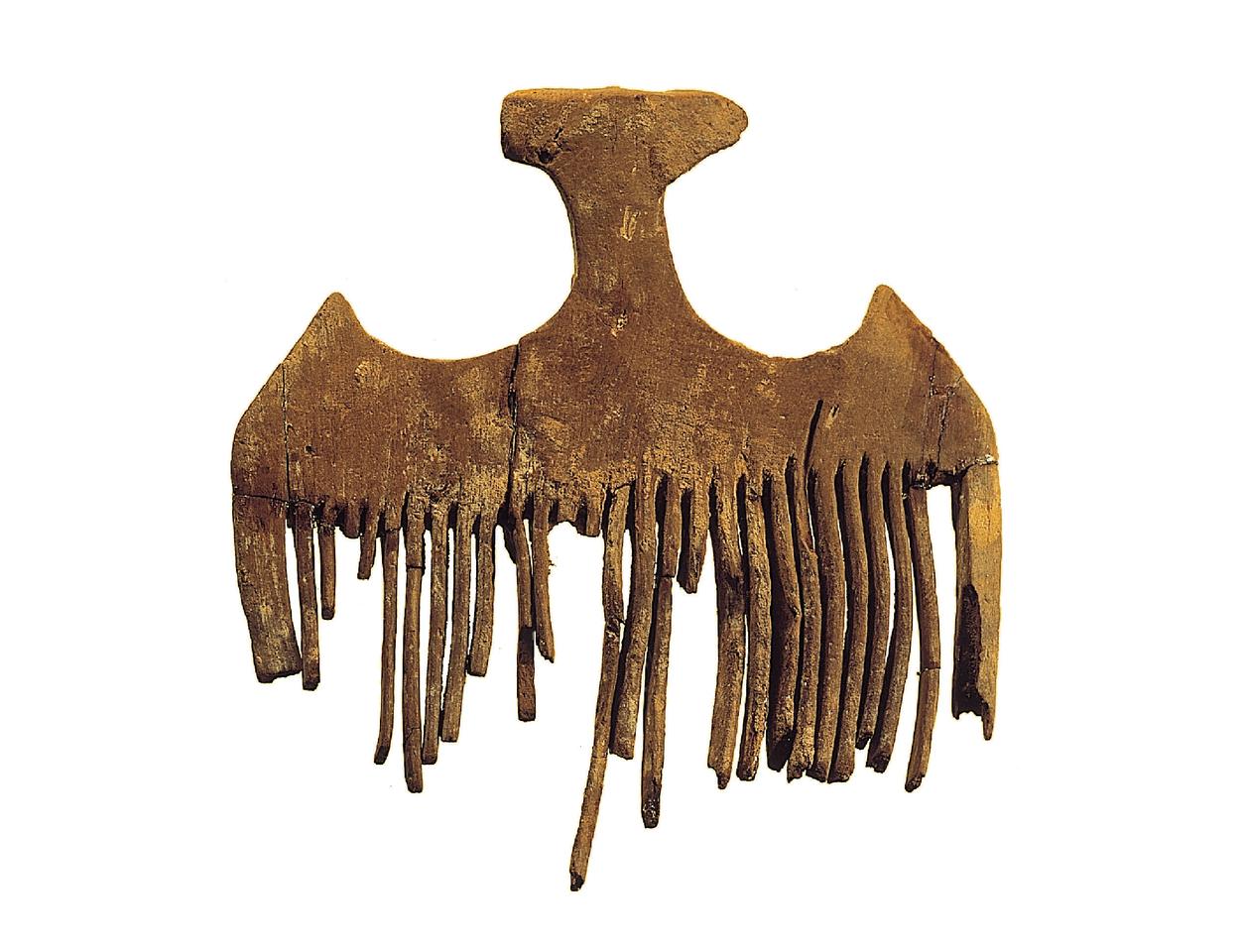 A comb which was found with the hair containers