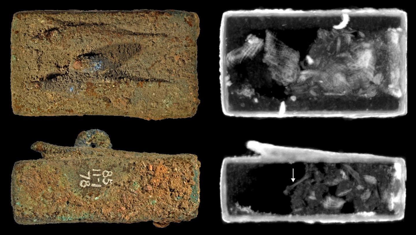 Animal coffin EA27584, surmounted by two lizard figures (top and side view). Neutron imaging shows textile wrappings and an 8 mm-long bone (arrow)