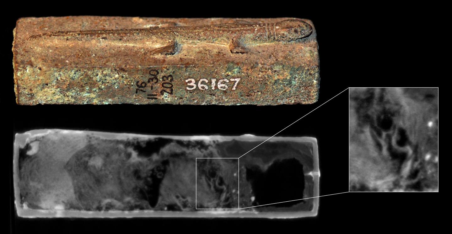 Animal coffin EA36167, surmounted by a lizard figure. Neutron imaging shows a lizard skull (inset)