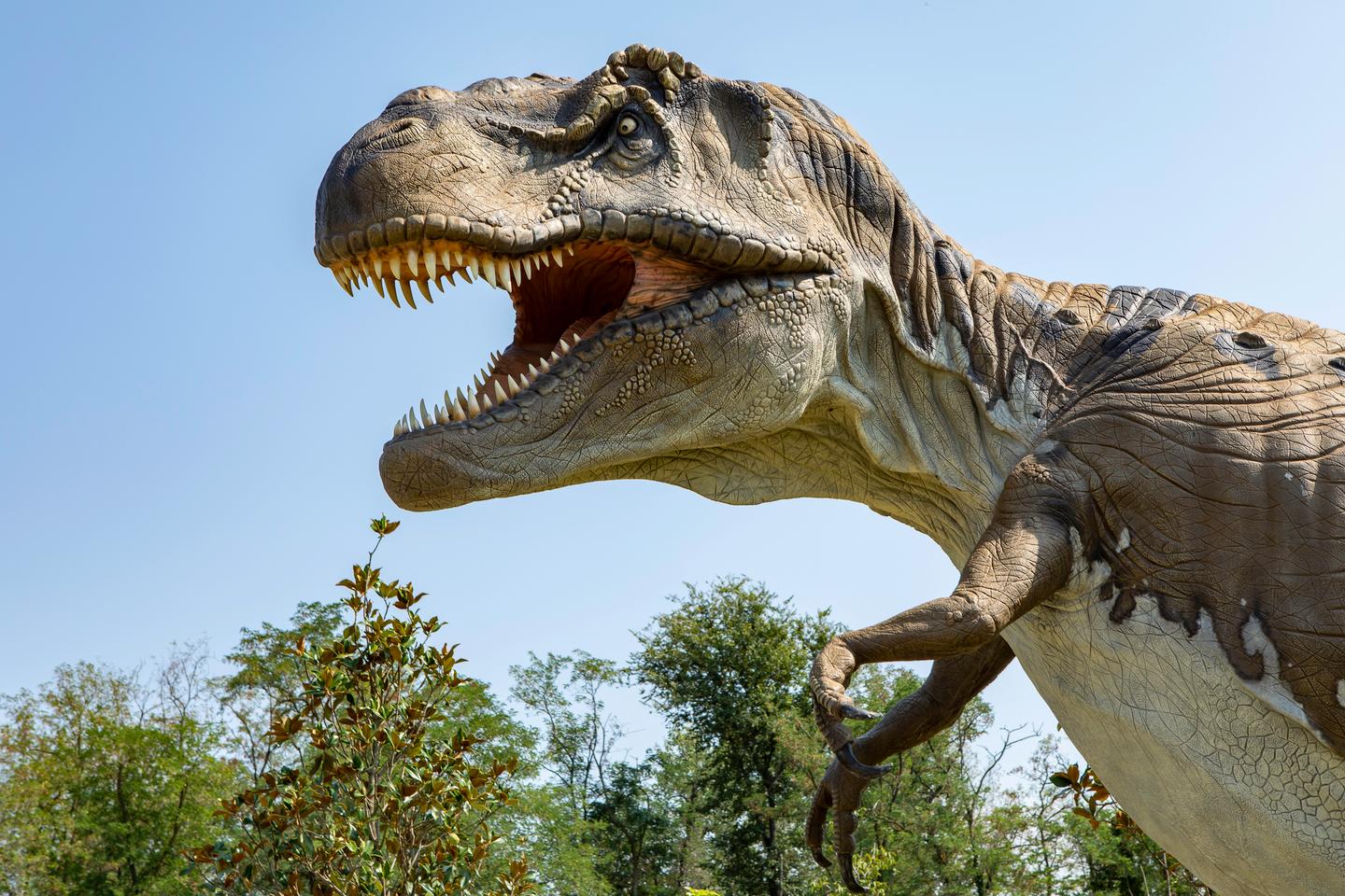 Sorry, Steven Spielberg, your Jurassic Park apex predator has had a scientific makeover