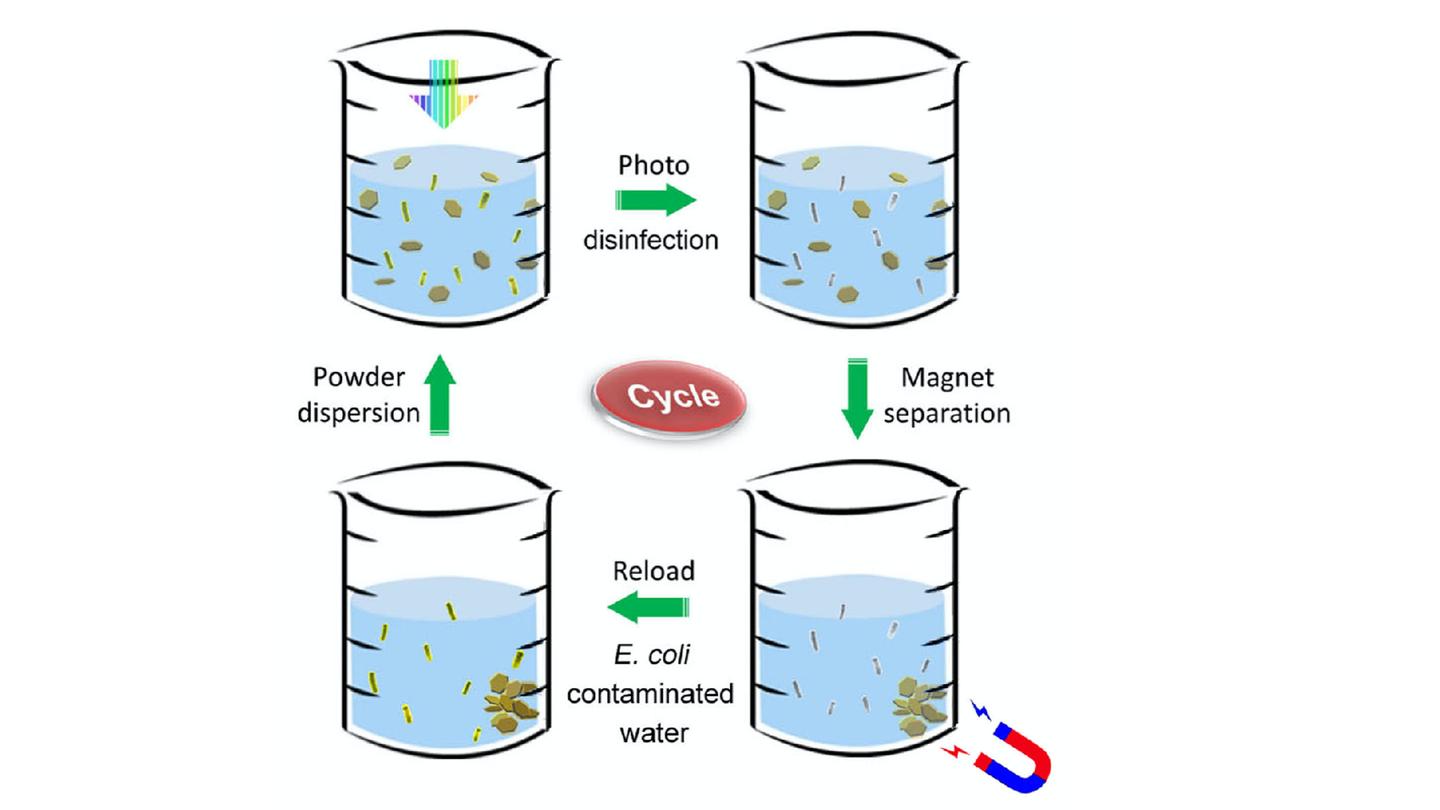 A diagram of the purification process