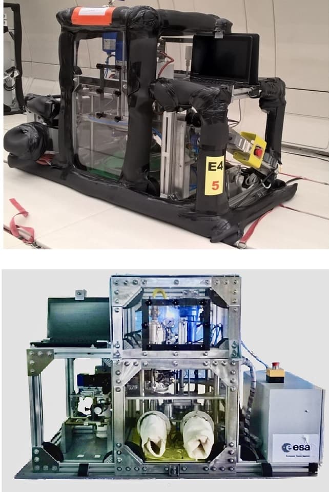 The space frying experiment