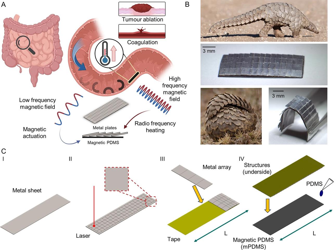 A graphic on the structure that enables the unthethered robot device to be moved and heated