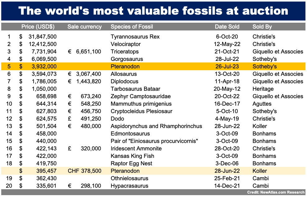 Our listing of the world's most valuable fossils by species almost had two major revisions during Sotheby's today, with a Plesiosaurus bid to $550,000 but failing to meet the reserve price and hence being passed in. With buyers premium that would have been a world record for the species if it had been accepted. The highest bidder usually gets an opportunity to negotiate and given the Zone of Potential Agreement was relatively narrow, a sale may yet be announced. The Pteranodon's previous position and new position in the grand scheme of fossils (though it is primarily a list of scary critters) are noted in orange. Links to prior auctions can be found in the captions in the image gallery for this article.