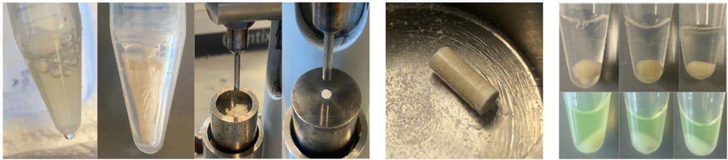 Left: CFPS mixture before and after lyophilization. Middle: Material being pressed into a solid-state pellet. Right: Pellet dissolving when placed in water