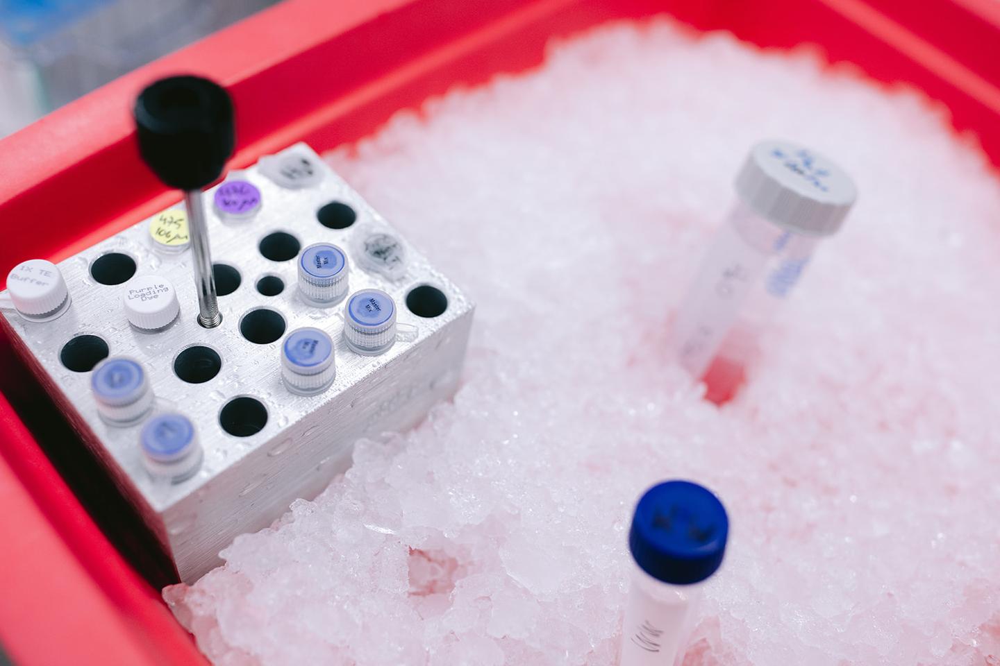 Temperature-sensitive enzyme samples