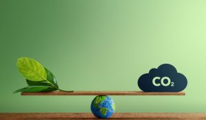Tech Takes Diverse Approaches to Sustainability Including Net Zero Carbon by 2030