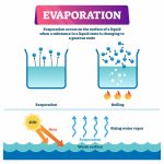 Read more about the article Best Practice For Evaporation Processes