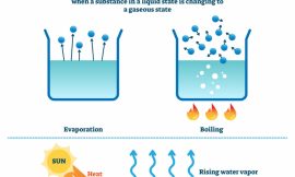 Best Practice For Evaporation Processes