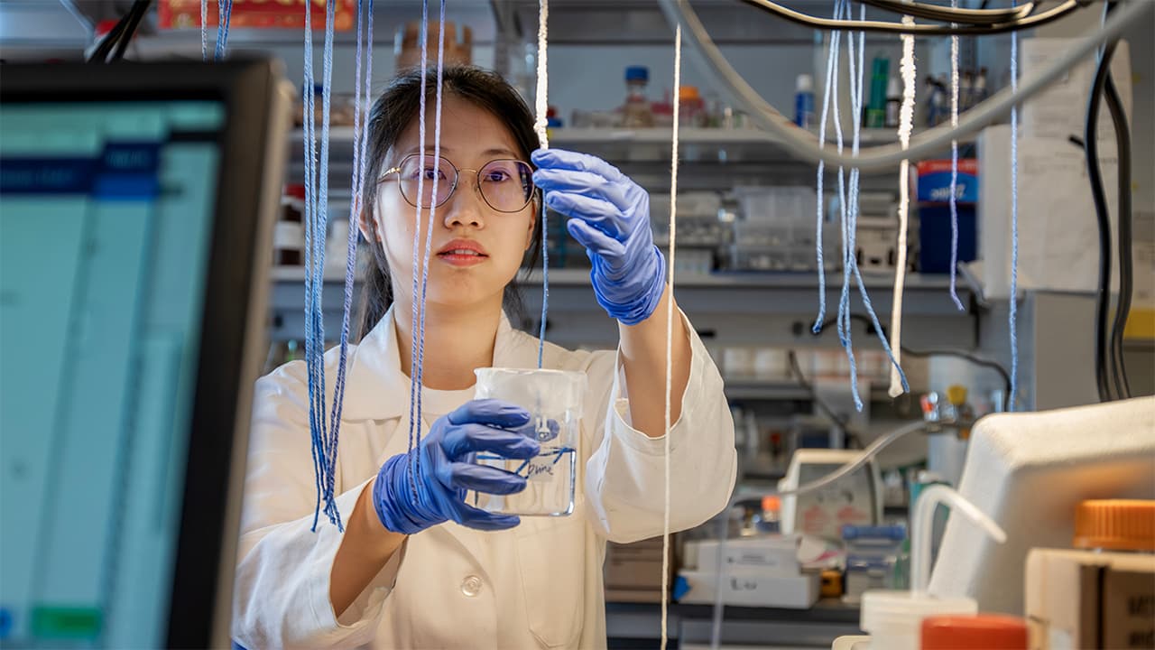 Graduate student Meiqi Yang examines one of the lithium-extracting strings