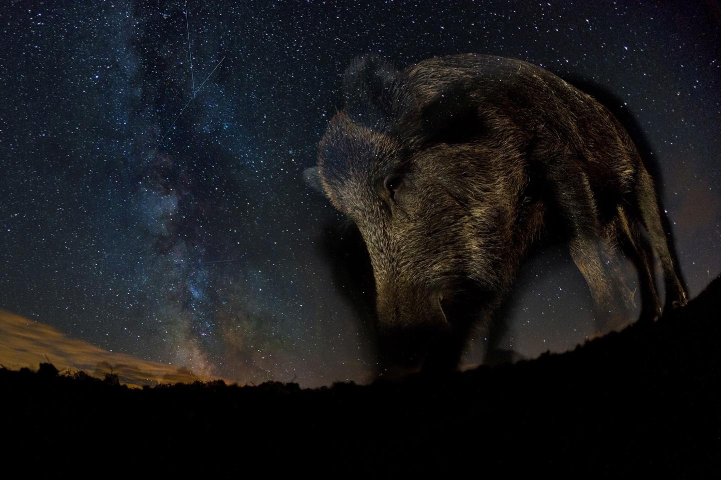 The Night Sky, Winner. "Milky Way" (Hungary)