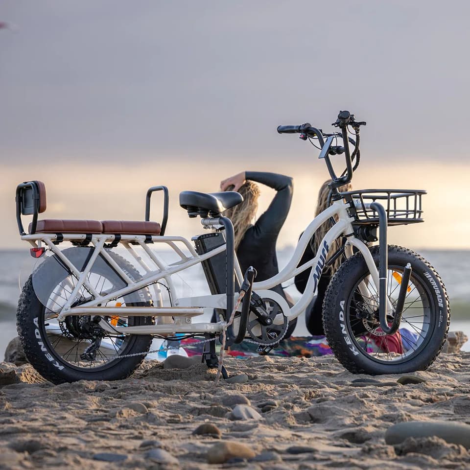 The Higgs Cargo can be optioned with a padded seat, and a front basket