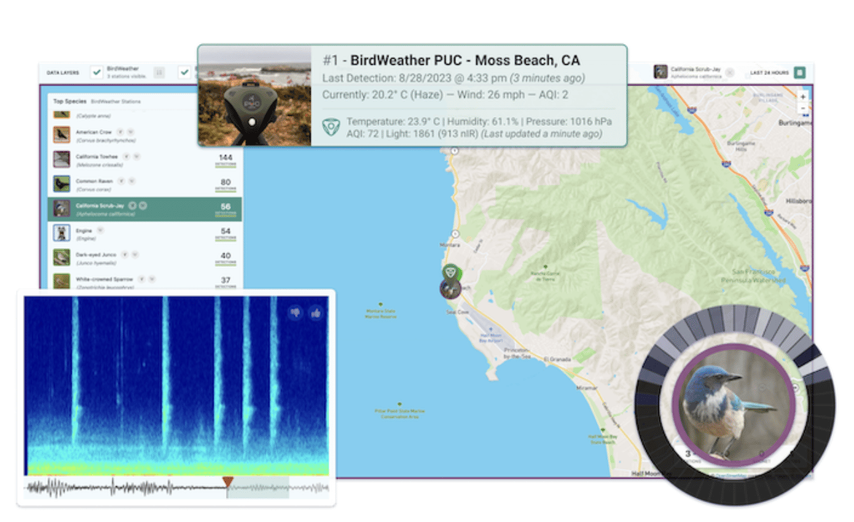 The web interface lets you see what birds you recorded, or travel the globe virtually to listen to other users' IDs