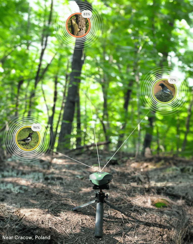 The PUC will also show how prevalent different birds are in any given space, helping you identify nests and interactions between species