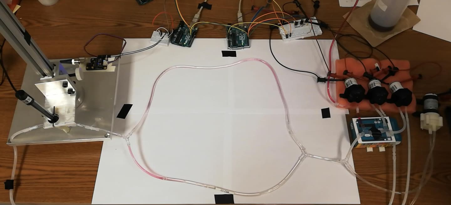 The EPFL team's synthetic testbed, consisting of tubes and pumps that simulate blood vessels and a heart, which demonstrated molecular communication using four transmitters