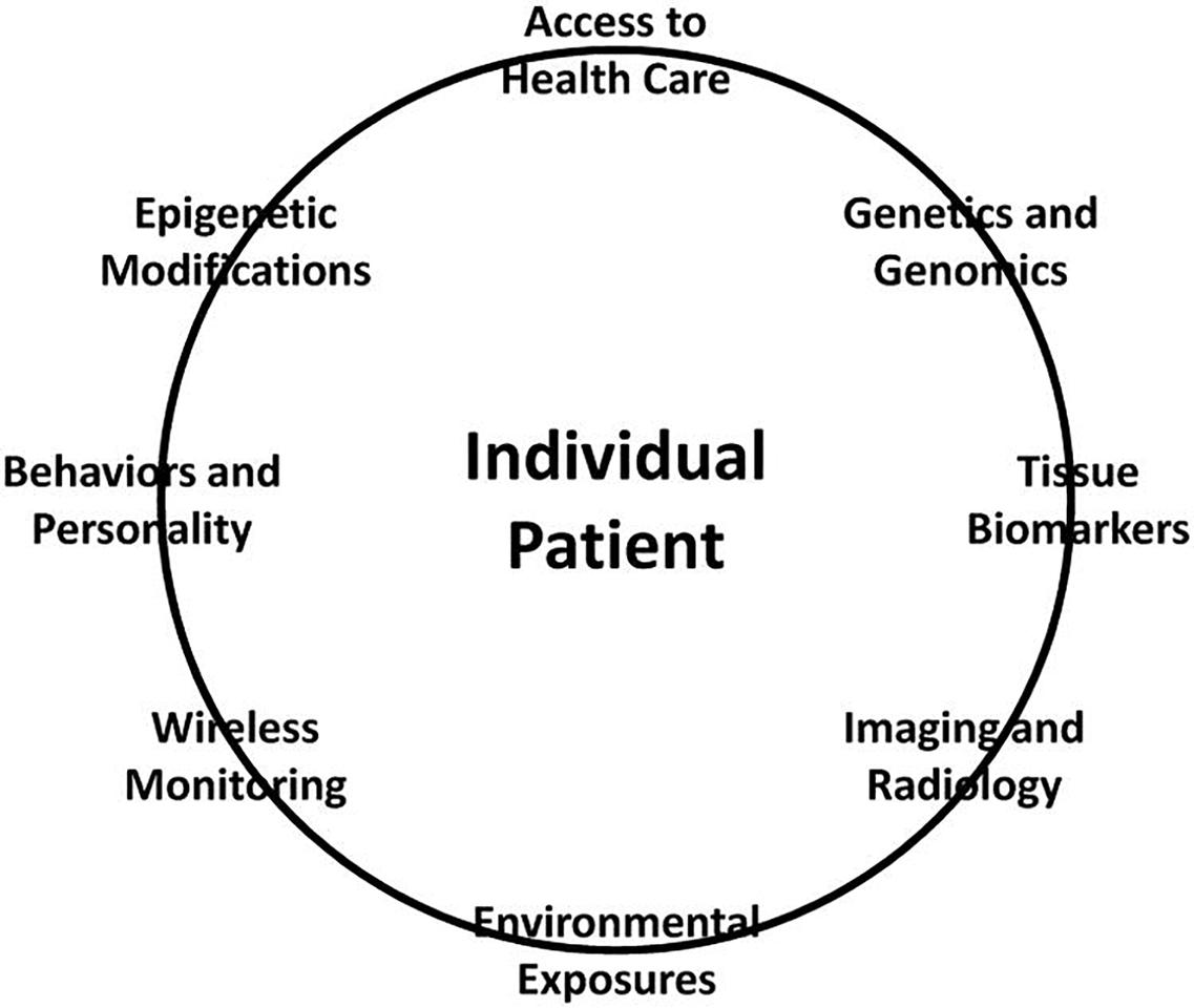 Graphical depiction of elements in need of integration and assessment in pursuing truly personalized medicine