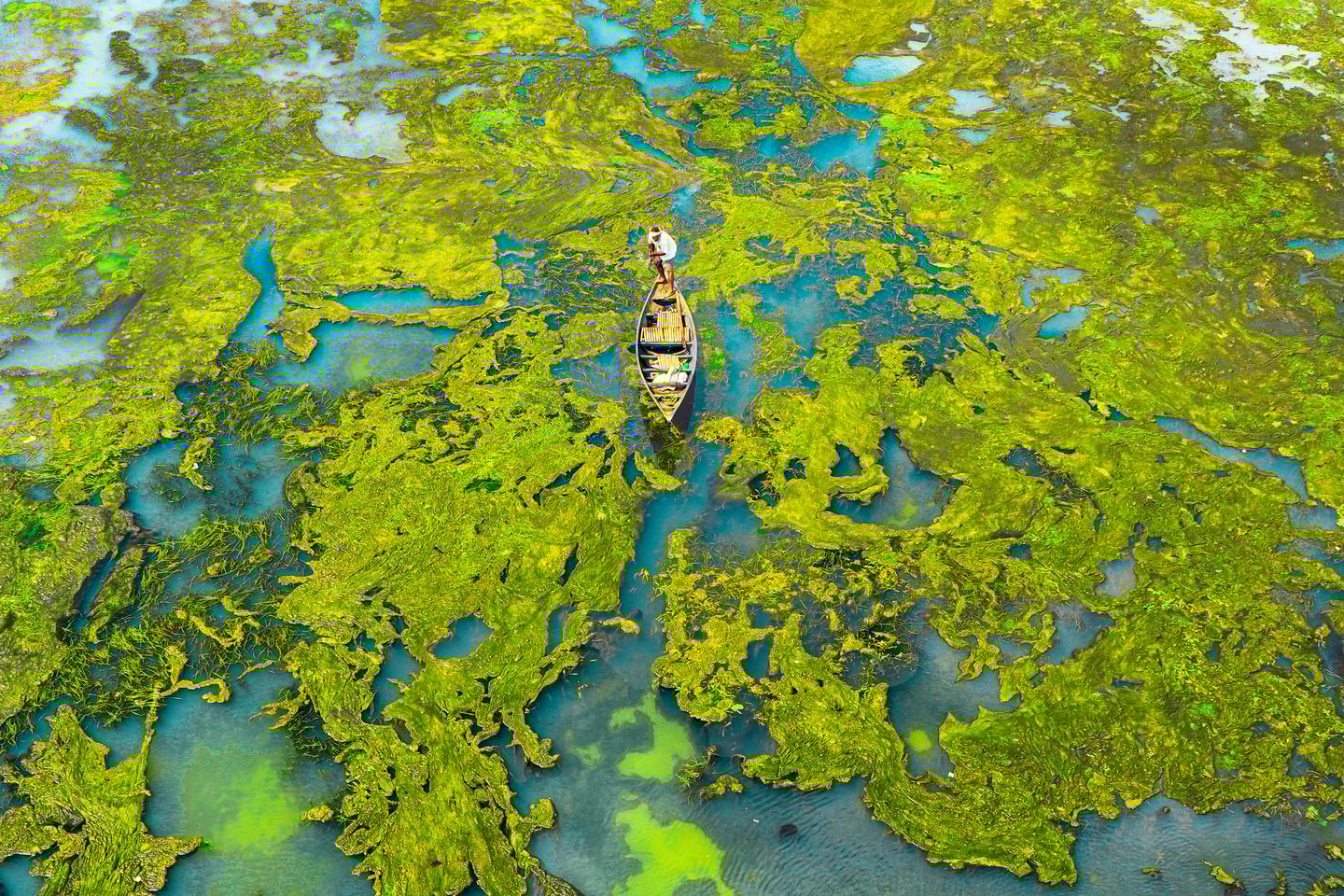 "Beyond the World", Aniruddha Pal, shortlisted