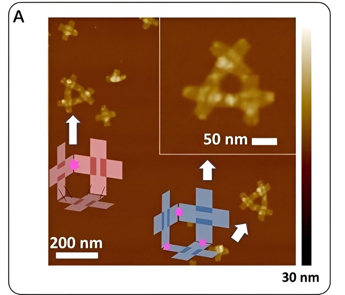Three-dimensional self-replicating nano-robots built from just four strands of DNA