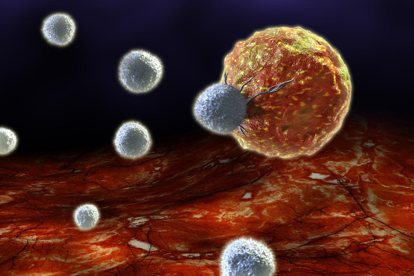An implantable sponge delivers drugs directly to nearby tumors